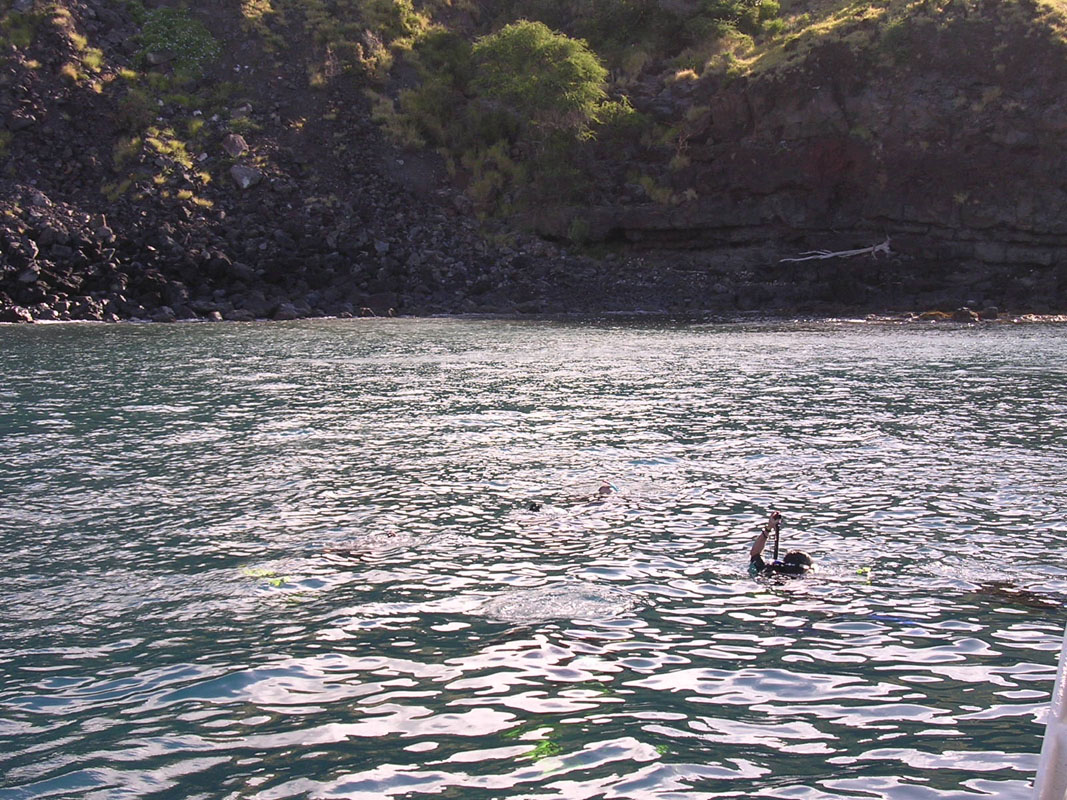2004 Maui 228