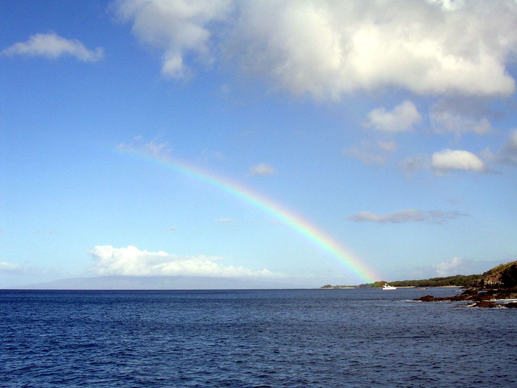 2004 Maui 230