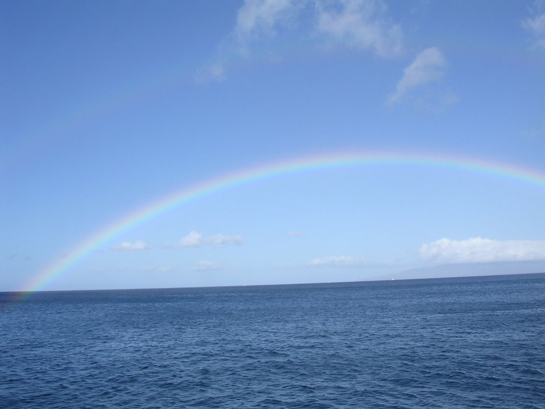 2004 Maui 234