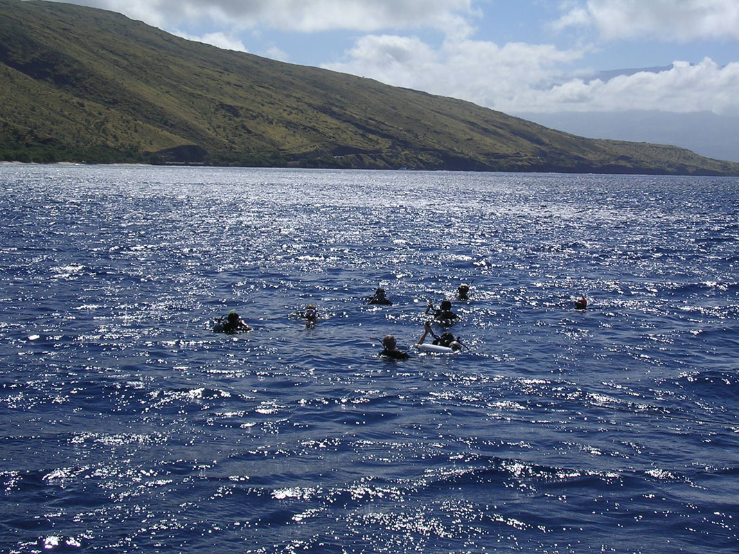 2004 Maui 236