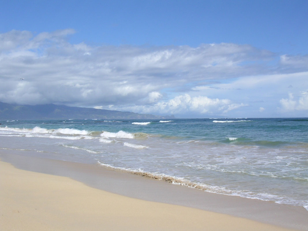 2004 Maui 313