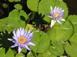 2004 Maui 032
