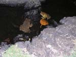 2004 Maui 088