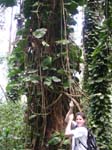 2004 Maui 124