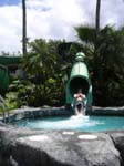 2004 Maui 323